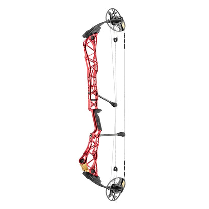 Mathews Title 38